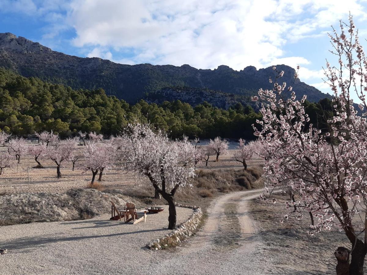 Апартаменты Cortijo Blanco Велес-Бланко Экстерьер фото