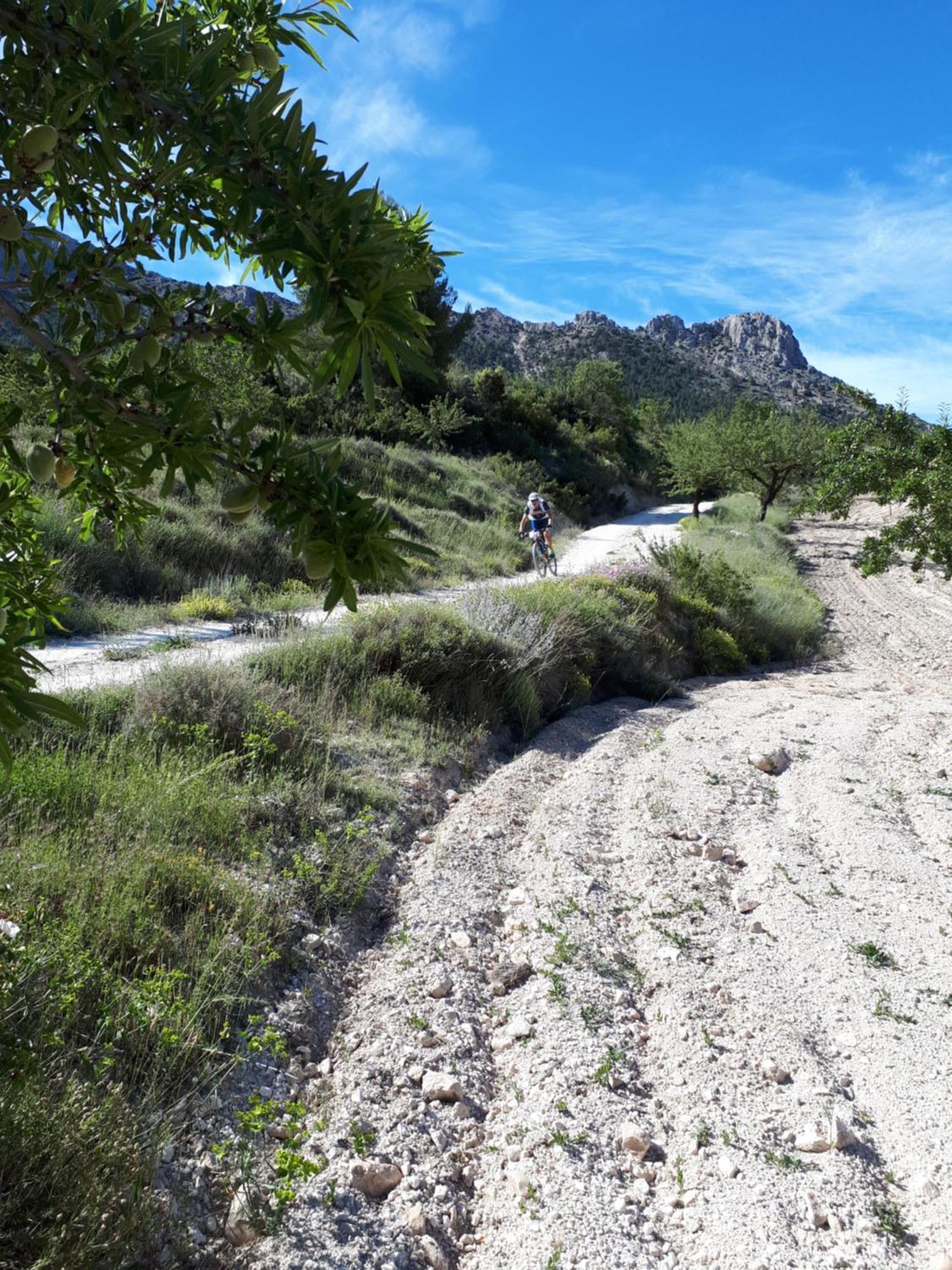 Апартаменты Cortijo Blanco Велес-Бланко Экстерьер фото