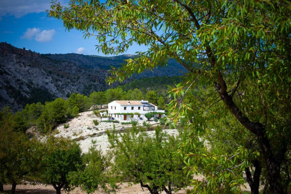 Апартаменты Cortijo Blanco Велес-Бланко Экстерьер фото